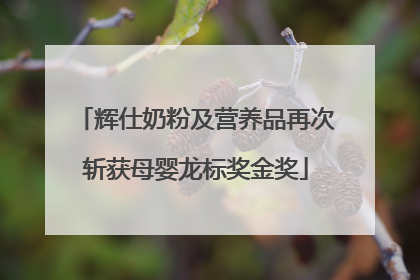 辉仕奶粉及营养品再次斩获母婴龙标奖金奖