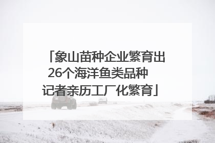 象山苗种企业繁育出26个海洋鱼类品种 记者亲历工厂化繁育