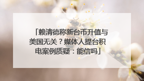 赖清德称新台币升值与美国无关？媒体人提台积电案例质疑：能信吗