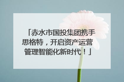 赤水市国投集团携手思格特，开启资产运营管理智能化新时代！