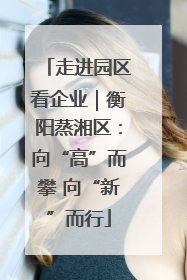 走进园区看企业｜衡阳蒸湘区：向“高”而攀 向“新”而行