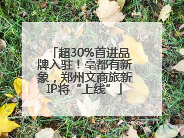 超30%首进品牌入驻！亳都有新象，郑州文商旅新IP将“上线”
