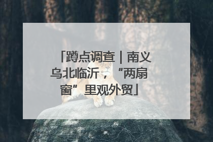 蹲点调查｜南义乌北临沂，“两扇窗”里观外贸
