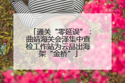 通关“零延误”：曲靖海关会泽集中查检工作站为云品出海架“金桥”