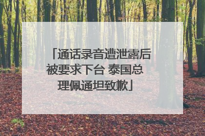 通话录音遭泄露后被要求下台 泰国总理佩通坦致歉