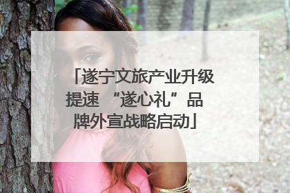 遂宁文旅产业升级提速 “遂心礼”品牌外宣战略启动