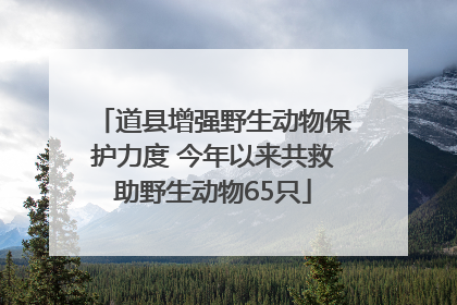 道县增强野生动物保护力度 今年以来共救助野生动物65只