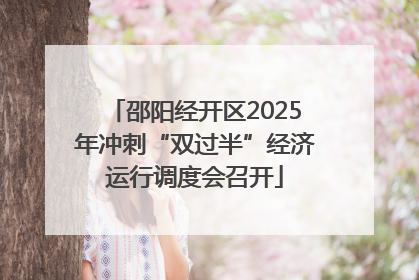 邵阳经开区2025年冲刺“双过半”经济运行调度会召开