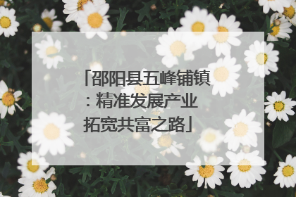 邵阳县五峰铺镇：精准发展产业 拓宽共富之路