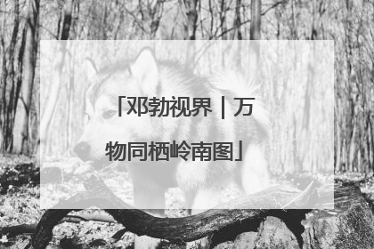 邓勃视界｜万物同栖岭南图
