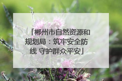 郴州市自然资源和规划局：筑牢安全防线 守护群众平安