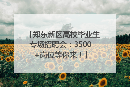 郑东新区高校毕业生专场招聘会：3500+岗位等你来！