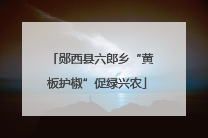 郧西县六郎乡“黄板护椒”促绿兴农