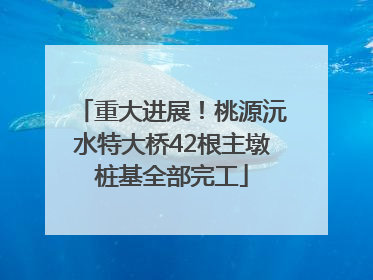 重大进展！桃源沅水特大桥42根主墩桩基全部完工