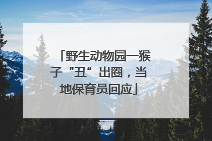 野生动物园一猴子“丑”出圈，当地保育员回应