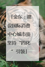 金东：建设国际消费中心城市须坚持“四化”引领