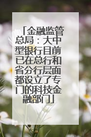 金融监管总局：大中型银行目前已在总行和省分行层面都设立了专门的科技金融部门