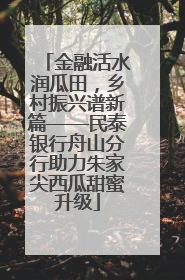 金融活水润瓜田，乡村振兴谱新篇——民泰银行舟山分行助力朱家尖西瓜甜蜜升级