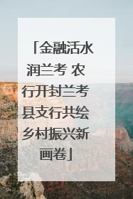 金融活水润兰考 农行开封兰考县支行共绘乡村振兴新画卷