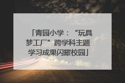青园小学：“玩具梦工厂”跨学科主题学习成果闪耀校园