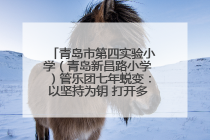 青岛市第四实验小学（青岛新昌路小学）管乐团七年蜕变：以坚持为钥 打开多元成长之门