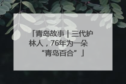青岛故事｜三代护林人，76年为一朵“青岛百合”
