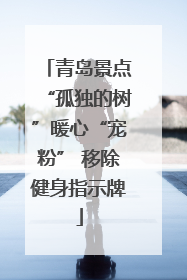 青岛景点“孤独的树”暖心“宠粉” 移除健身指示牌