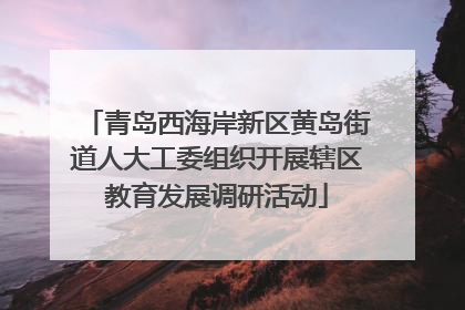 青岛西海岸新区黄岛街道人大工委组织开展辖区教育发展调研活动