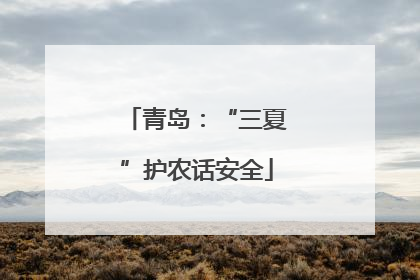 青岛：“三夏”护农话安全