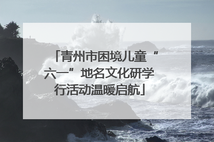 青州市困境儿童“六一”地名文化研学行活动温暖启航