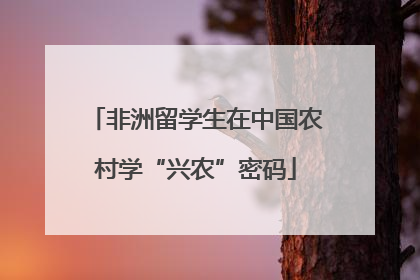 非洲留学生在中国农村学“兴农”密码