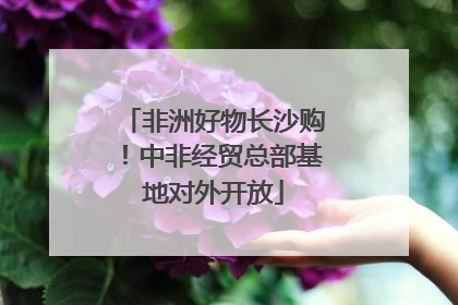 非洲好物长沙购！中非经贸总部基地对外开放