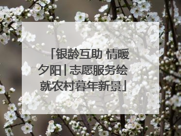 银龄互助 情暖夕阳│志愿服务绘就农村暮年新景