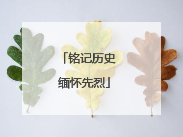 铭记历史 缅怀先烈
