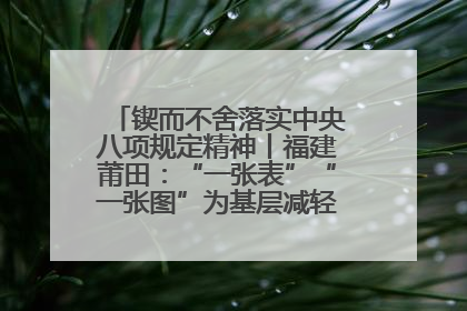 锲而不舍落实中央八项规定精神丨福建莆田：“一张表”“一张图”为基层减轻“数字负担”