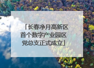 长春净月高新区首个数字产业园区党总支正式成立
