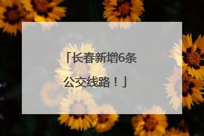 长春新增6条公交线路！