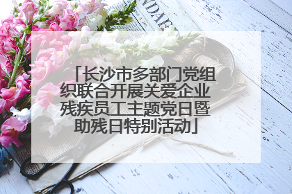 长沙市多部门党组织联合开展关爱企业残疾员工主题党日暨助残日特别活动