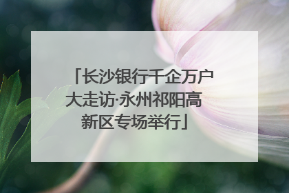 长沙银行千企万户大走访·永州祁阳高新区专场举行