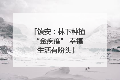 镇安：林下种植“金疙瘩” 幸福生活有盼头