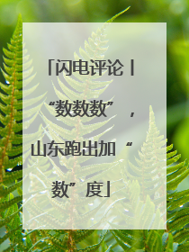 闪电评论丨“数数数”，山东跑出加“数”度