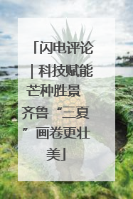 闪电评论｜科技赋能芒种胜景 齐鲁“三夏”画卷更壮美