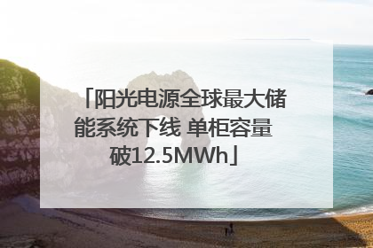 阳光电源全球最大储能系统下线 单柜容量破12.5MWh