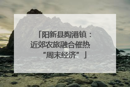 阳新县陶港镇：近郊农旅融合催热“周末经济”