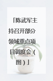 陈武军主持召开部分领域重点项目调度会（图）