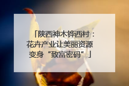 陕西神木铧西村：花卉产业让美丽资源变身“致富密码”