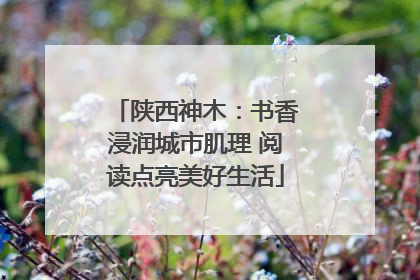 陕西神木：书香浸润城市肌理 阅读点亮美好生活