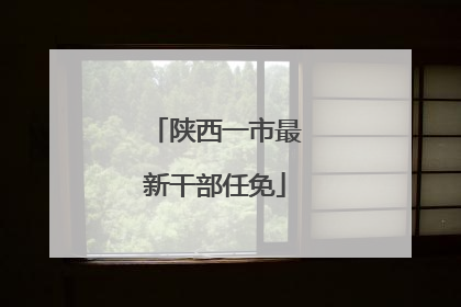 陕西一市最新干部任免