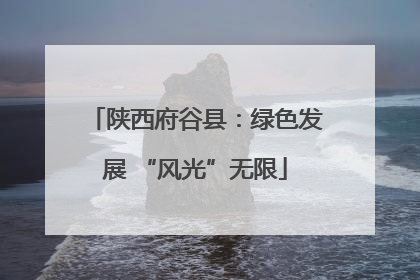 陕西府谷县：绿色发展 “风光”无限