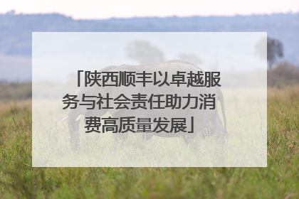 陕西顺丰以卓越服务与社会责任助力消费高质量发展